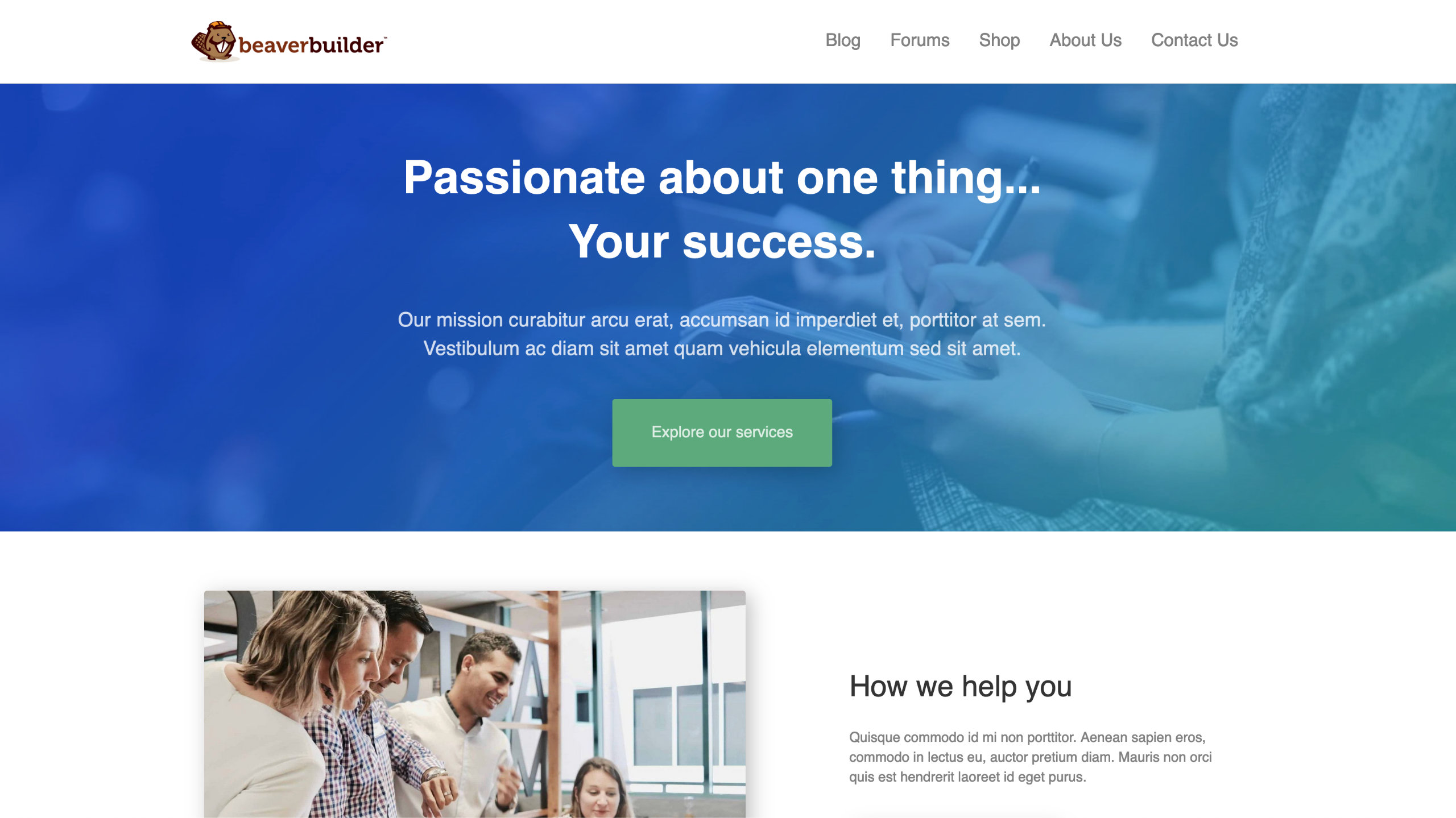 Extra Large & Large device layout view